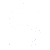 Shield Icon
